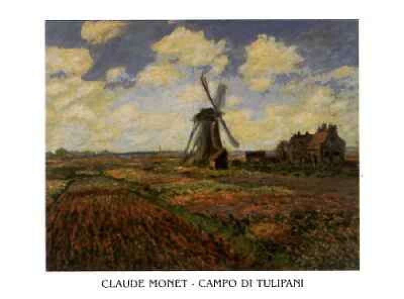 campo-di-tulipani-7700087[1].jpg